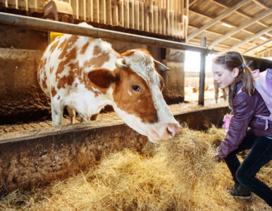 Charity Spotlight: The Farm School Image